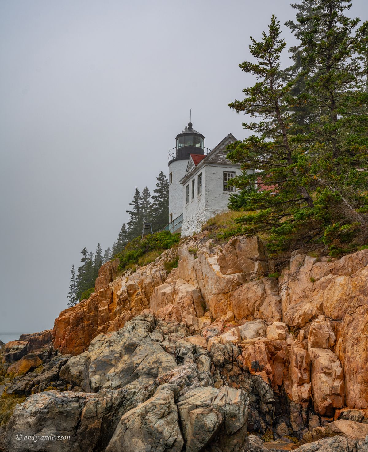 DSC09829 copy_pepost.jpg