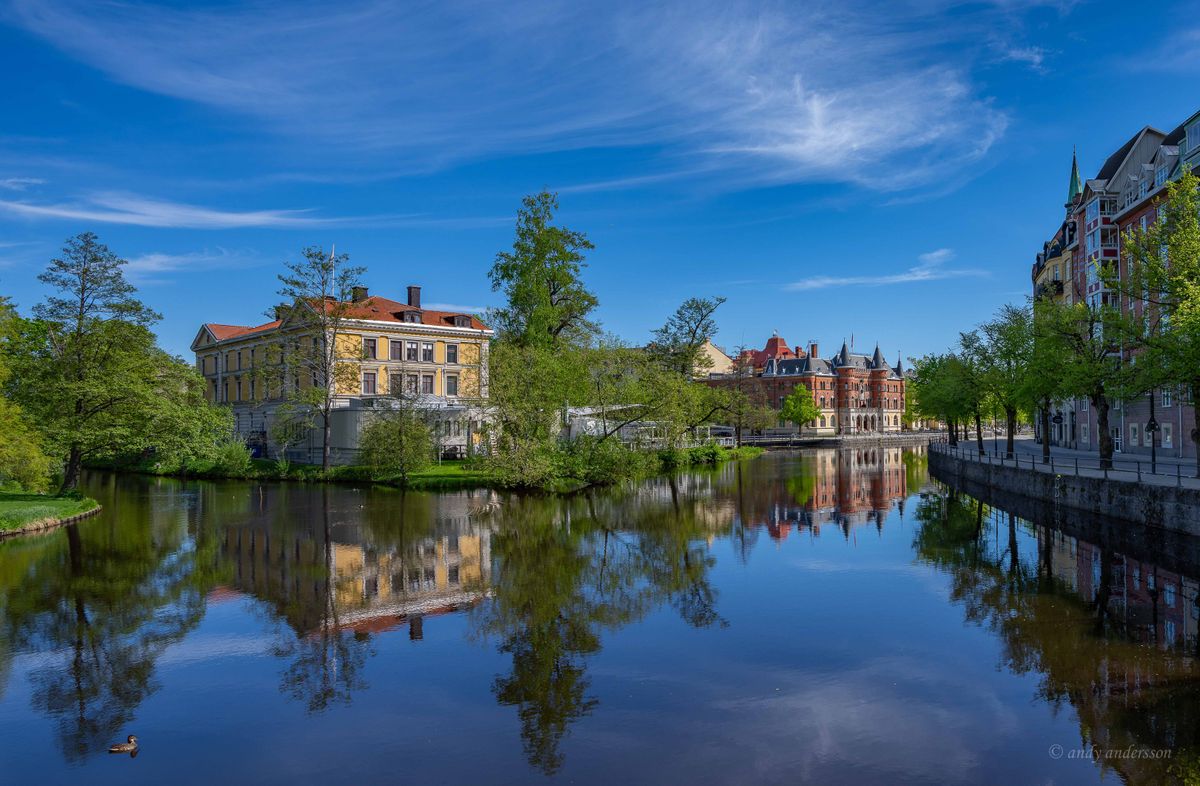 DSC00335 copy_pe.jpg