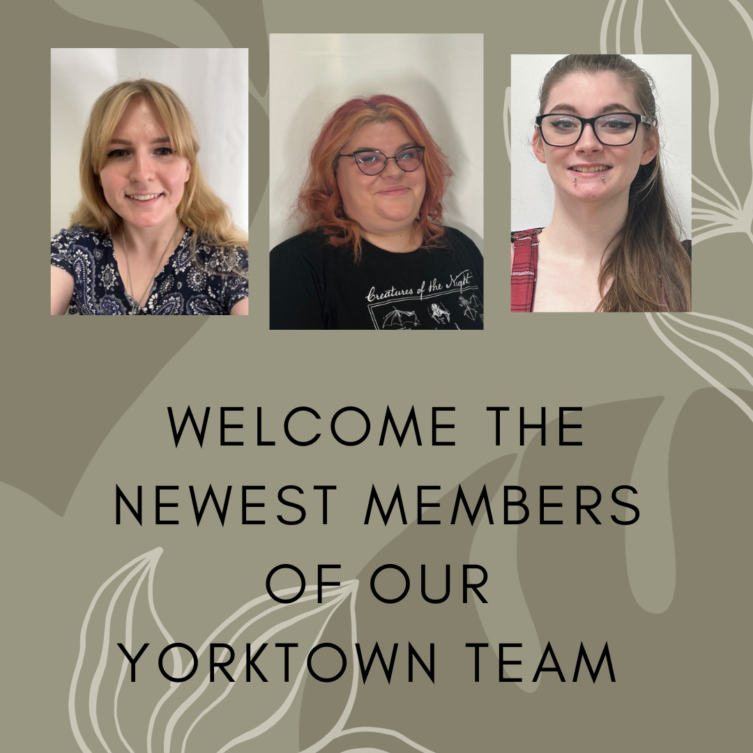Welcome to the newest members of our Yorktown teM.png