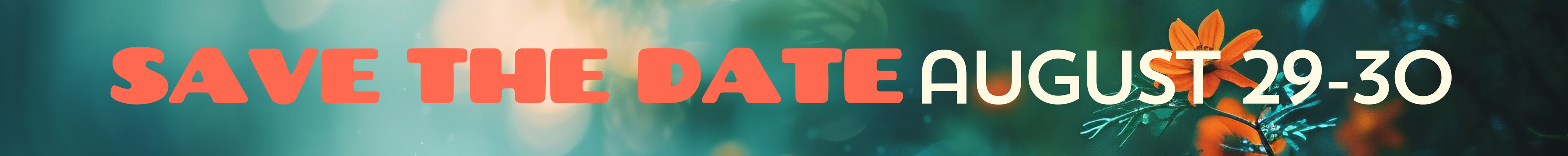 web-banner-826 (2).png