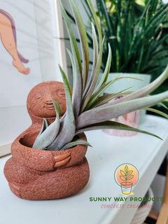 https://www.sunnywayproducts.com/ Sunny Way Products