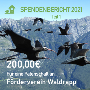 2021-04-14 Mein Vogelhäusle SPENDENBERICHT 2021 Teil 1 Waldrapp.png