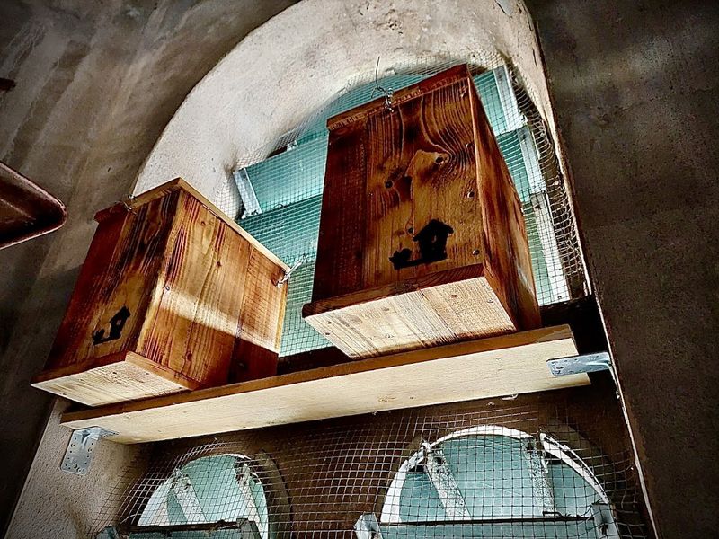 Der Kirchturm Pberkochen bietet Platz für 6 Dohlenkästen und außerdem 1 Turmfalkenkasten.