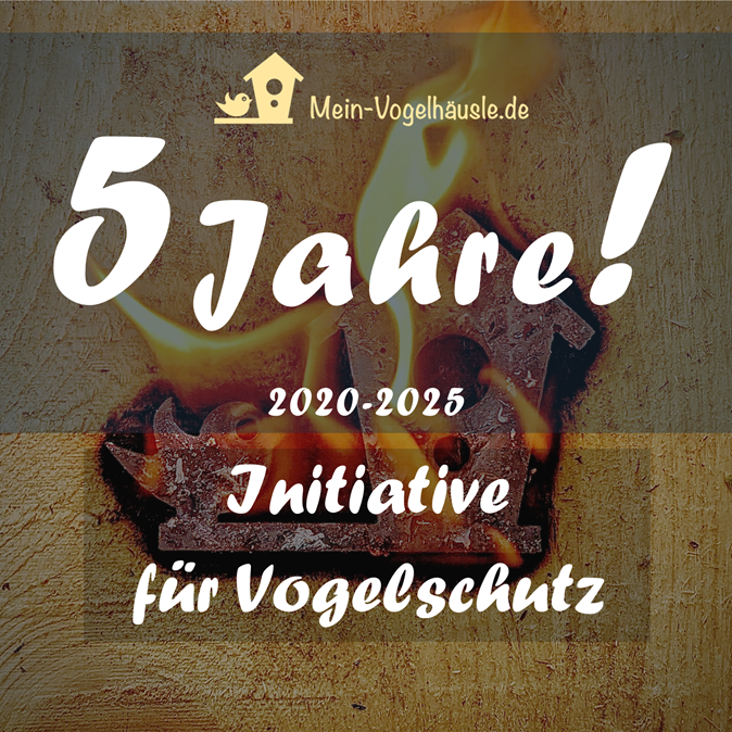 2025-06-06 Mein Vogelhäusle 5 Jahre.png