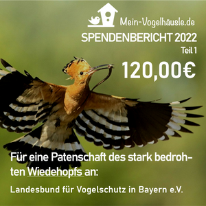 2022-02-28 Mein Vogelhäusle SPENDENBERICHT 2022 Teil 1 LBV Wiedehopf.png