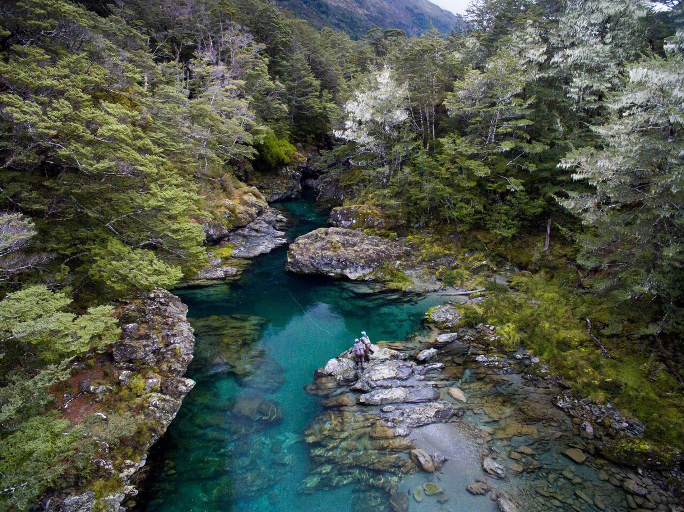 Beautiful river for fishing in Fiordland