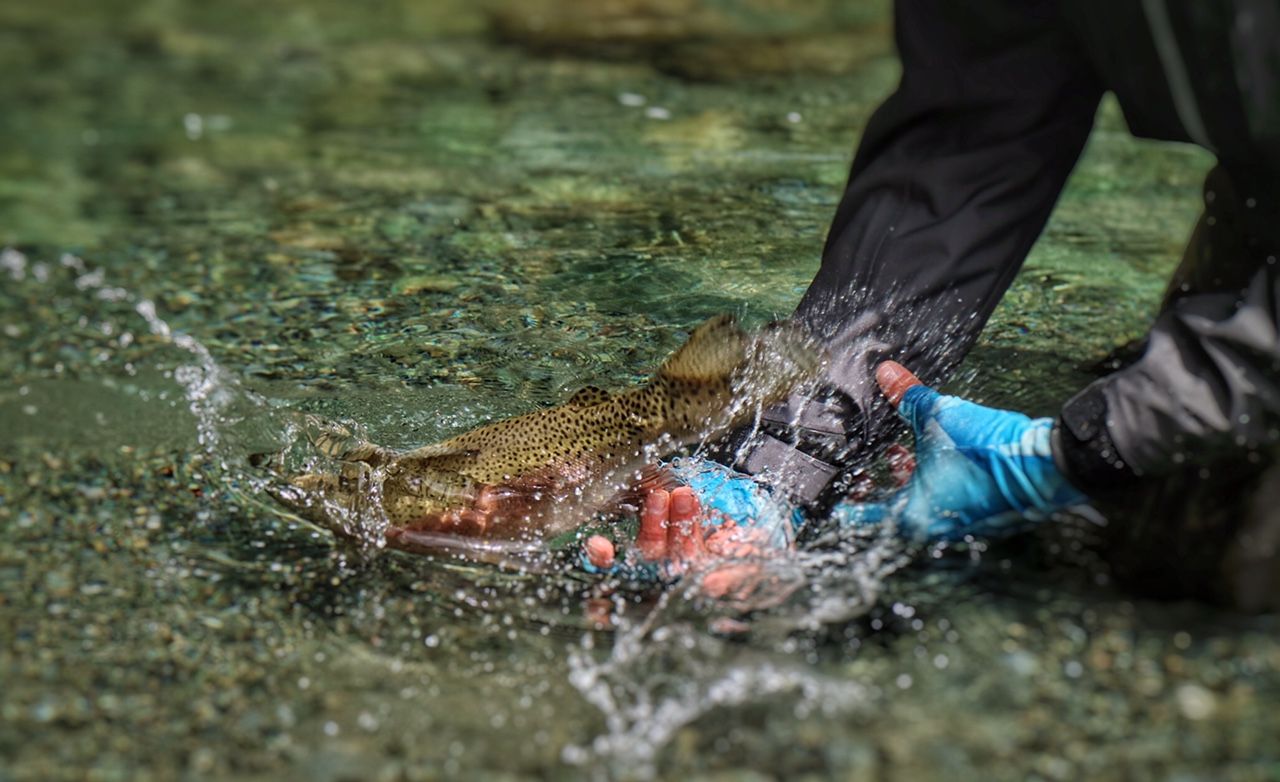 On the numerous trips we have taken to New Zealand Gordy is our GO TO GUIDE and we wouldn’t fish the South Island without him”