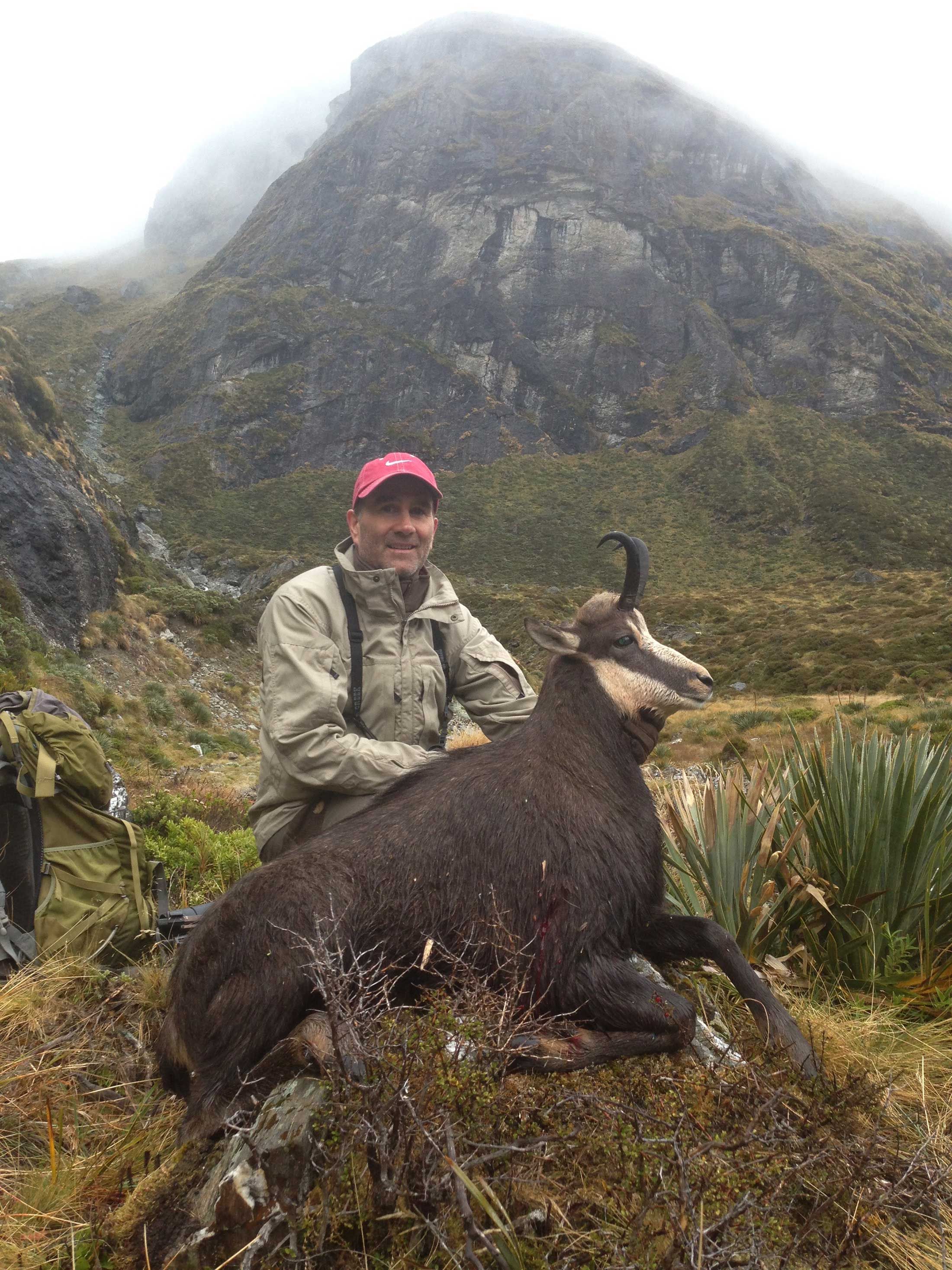 Tahr Hunting in NZ