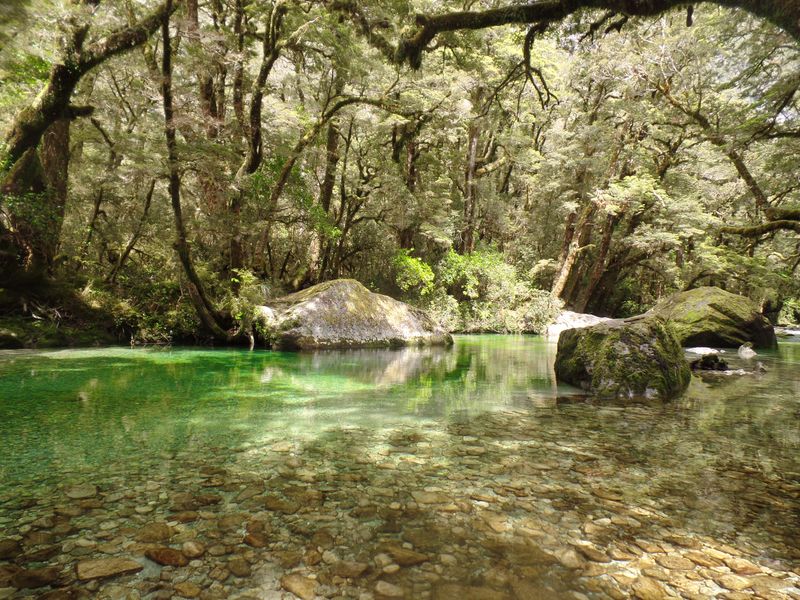 The places he takes us, you just have to come back.