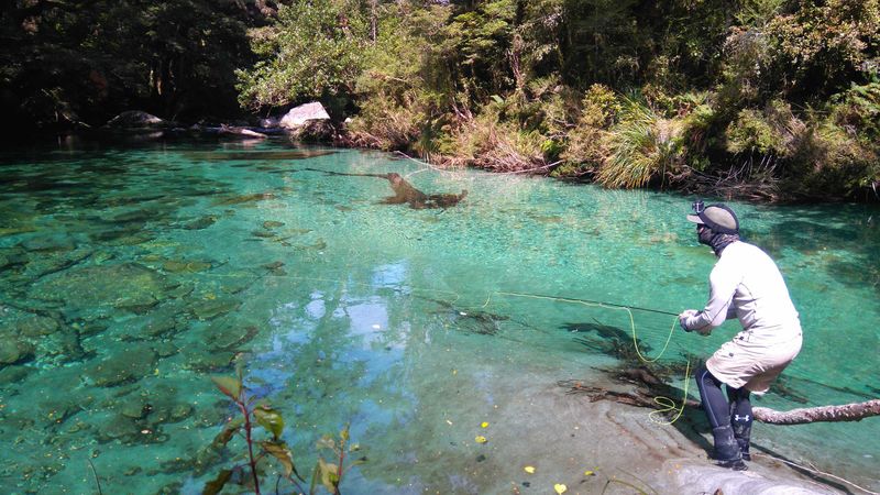 Guided Hunting And Fishing In New Zealand