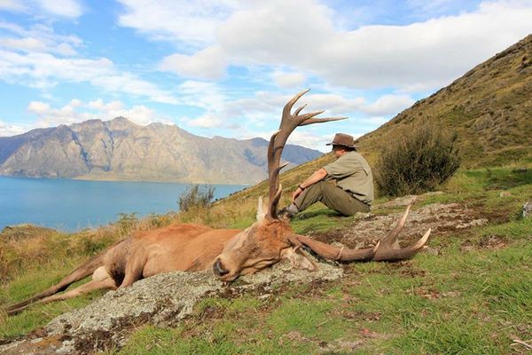Guided Hunting Trips in NZ