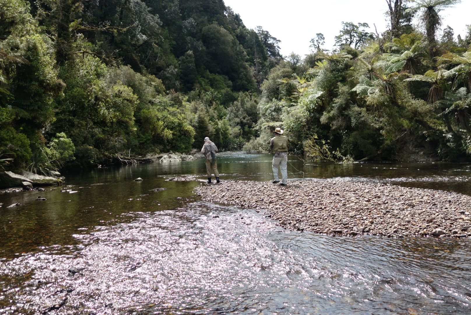 Fiordland fly fishing guide