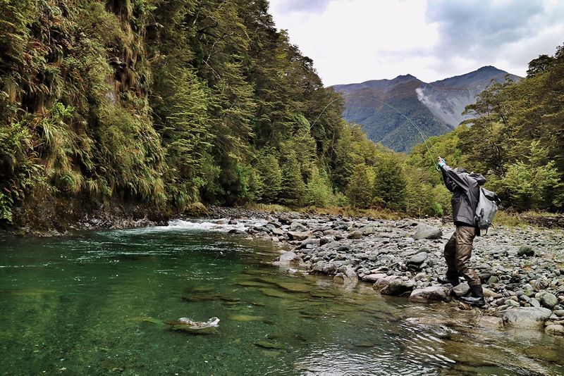 Camping with Gordy in the back country of Fiordland and the Southern Alps is a special experience that is unique in the world and Gordy works very hard to make it happen with style, comfort and lots of laughs and smiles.