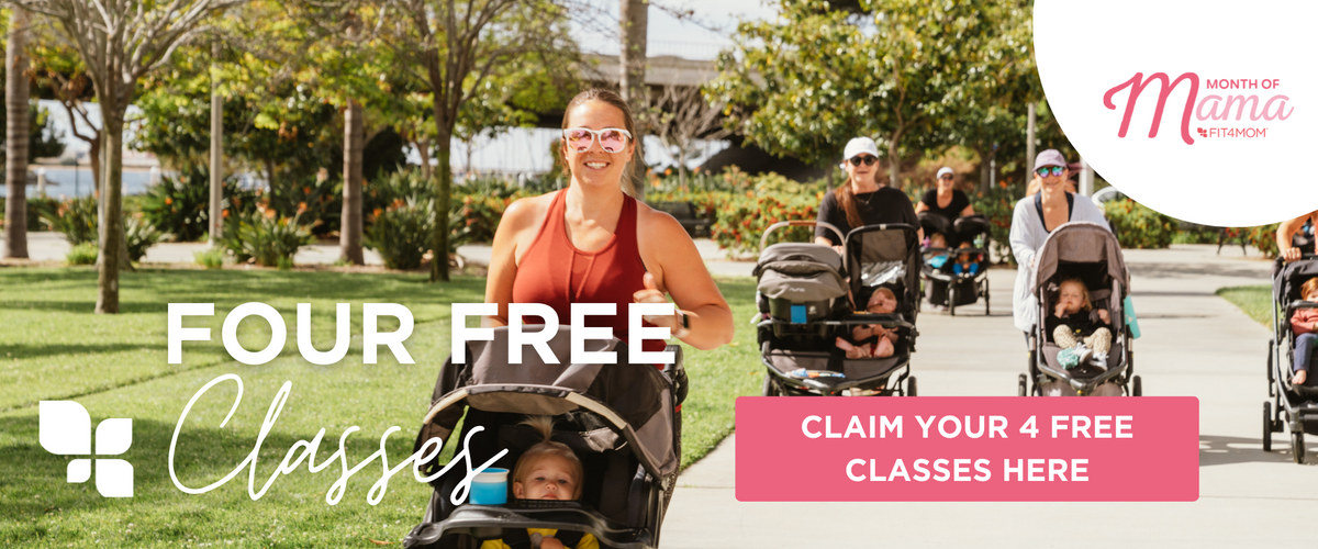 Mom and me stroller workout