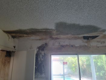 Mold On Ceiling from Water Damage