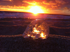 Abbey_Funk_Crystal_Skull_web.jpg