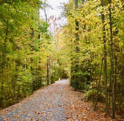 mid-lothian-mines-park.jpg