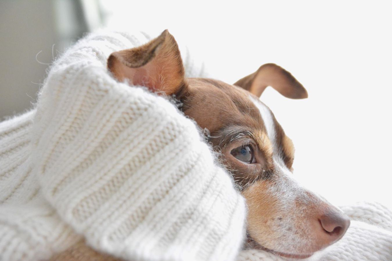 It's A Lifestyle Thing