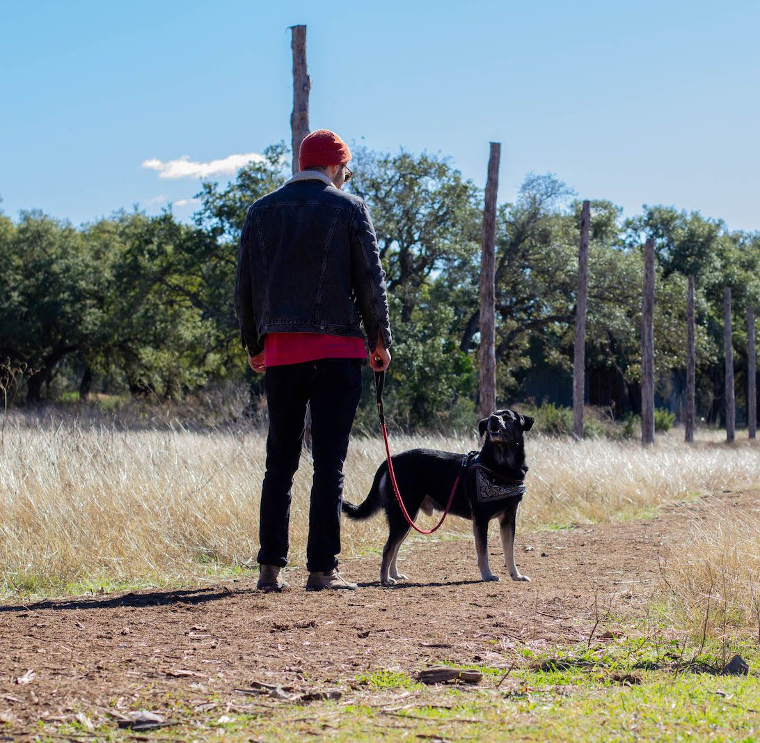 nature trail dog 3.jpg