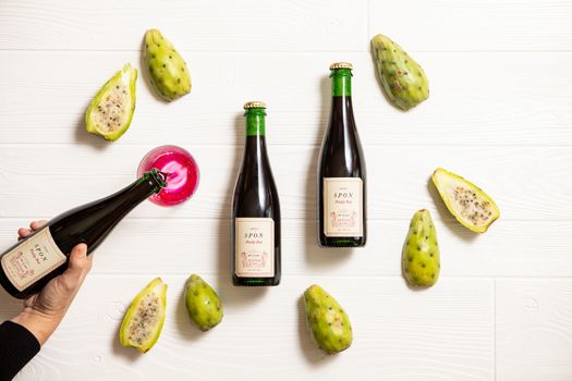 SPON_PricklyPear_01.jpg