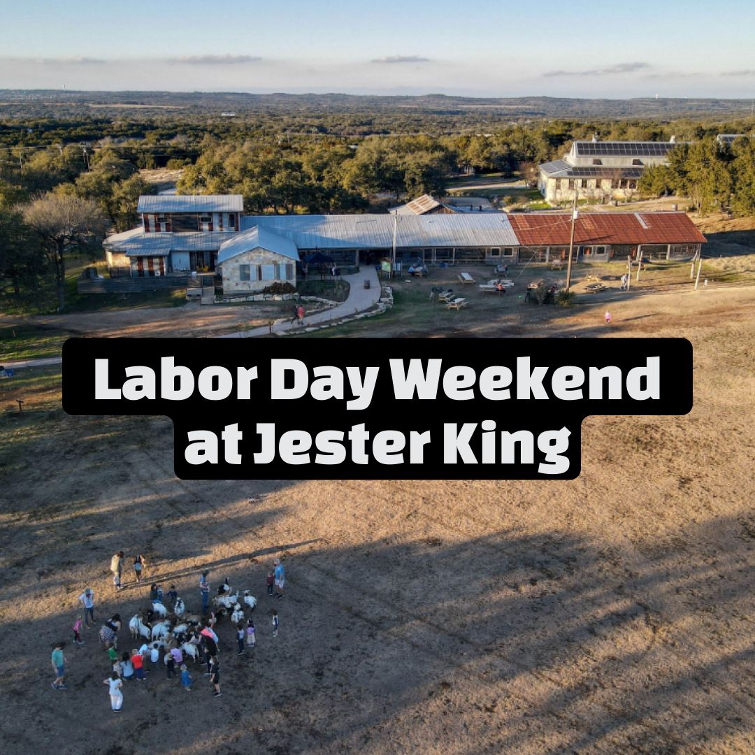 Labor Day Weekend At Jester King