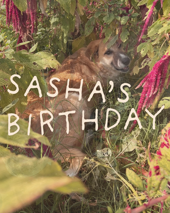 Copy of SASHA%E2%80%99S.png