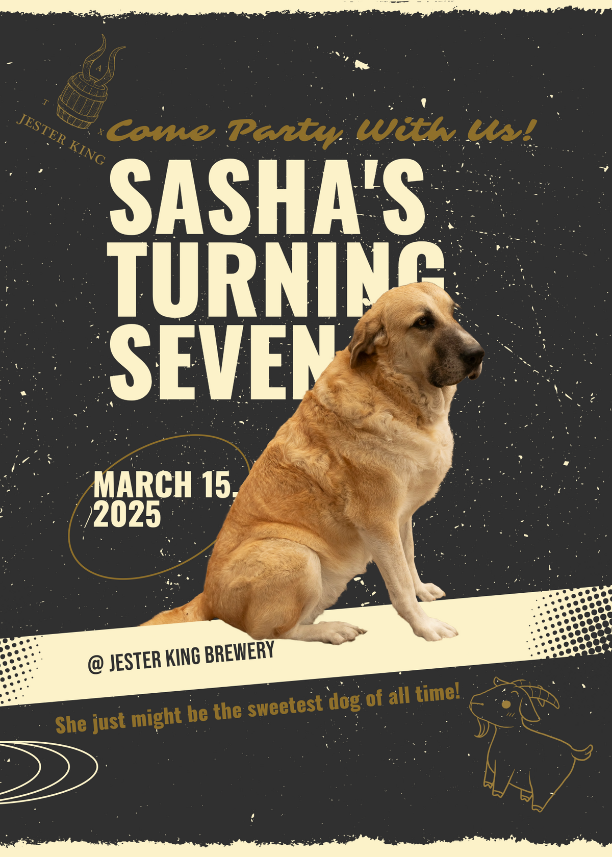 SashaBirthdayInvite.png