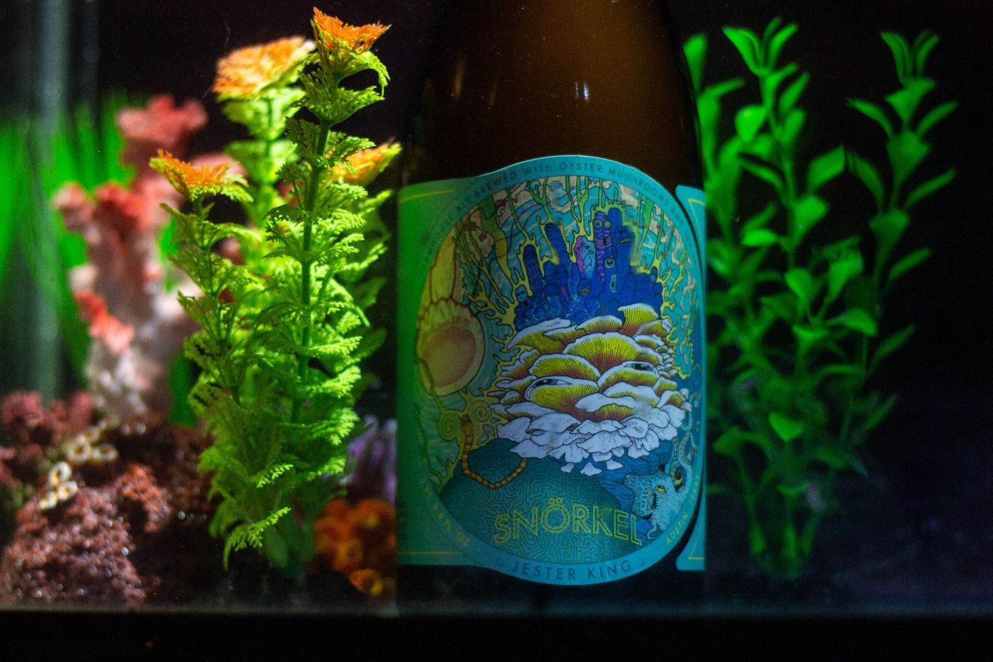 Snorkel (2).jpg