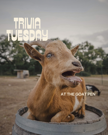Trivia Fridays (Instagram Post (45)) - 1.png