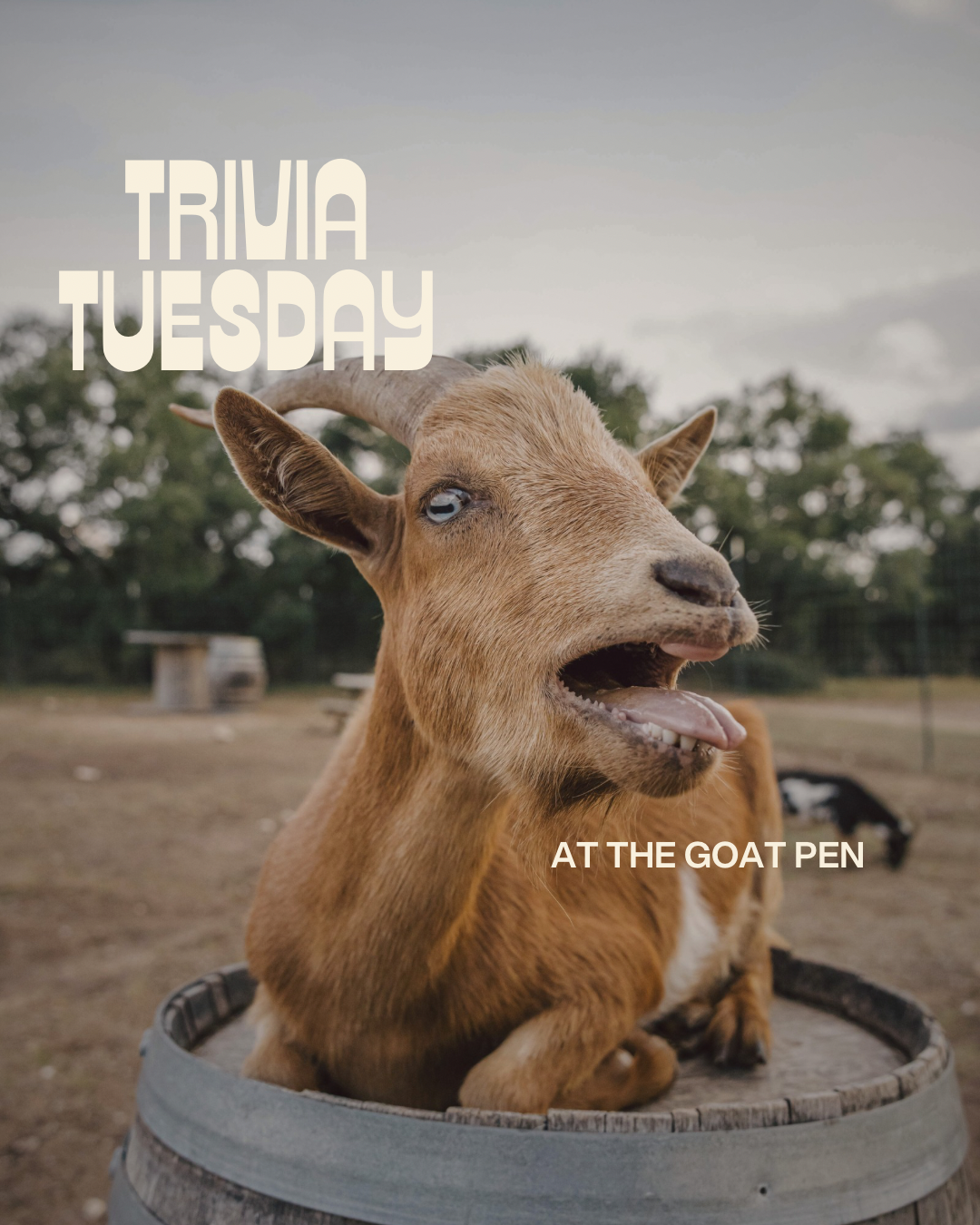 Trivia Fridays (Instagram Post (45)) - 1.png
