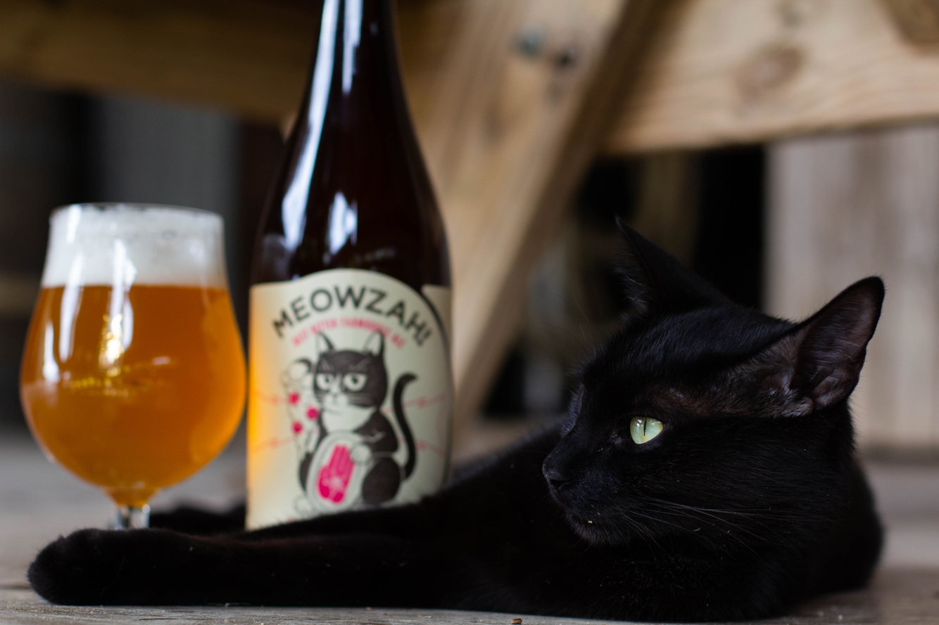 meowza 10.jpg