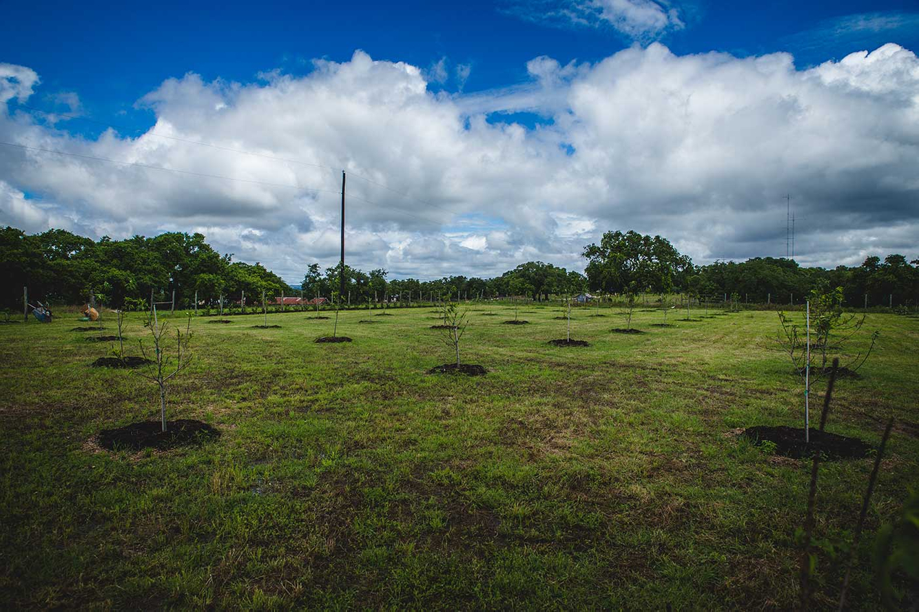 Jester-King-6-2-16-1886-(5).jpg
