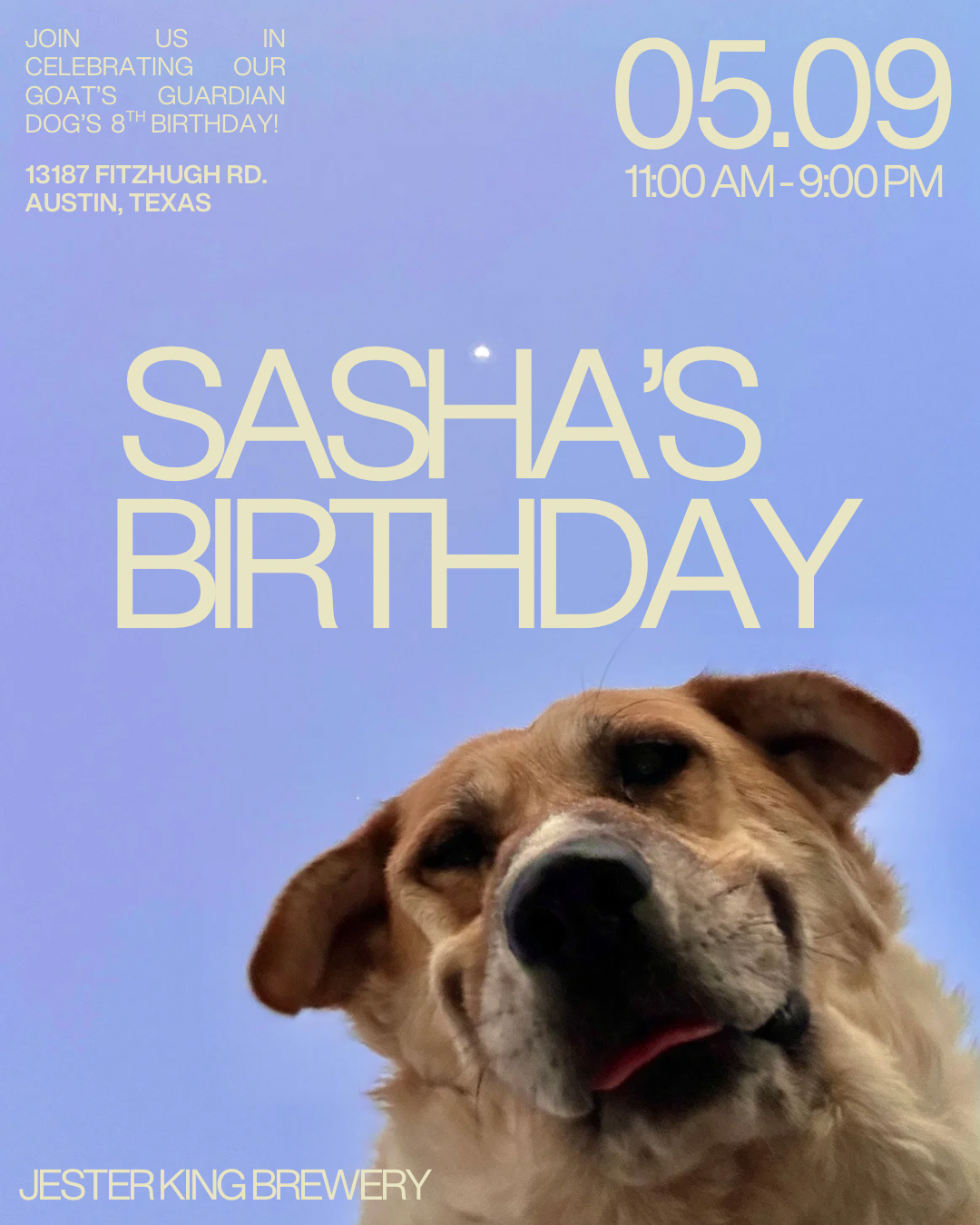 SASHAS BDAY IG POST.png