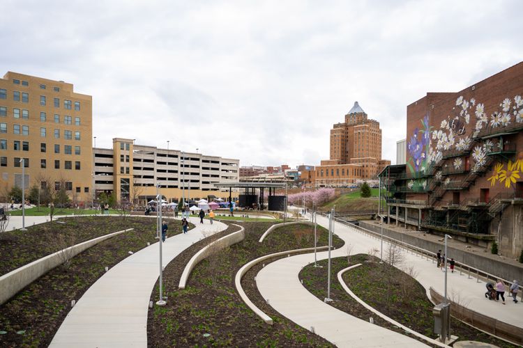 2025 Sakura Fest1-7862 (1).jpg