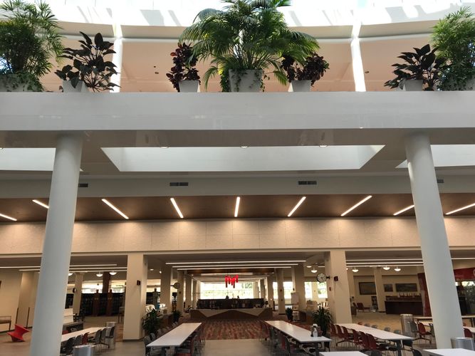 2019-09-27 11.45.51.jpg