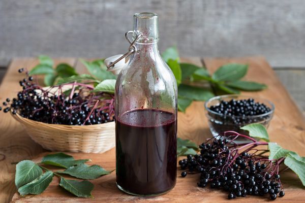 elderberry 2.jpeg