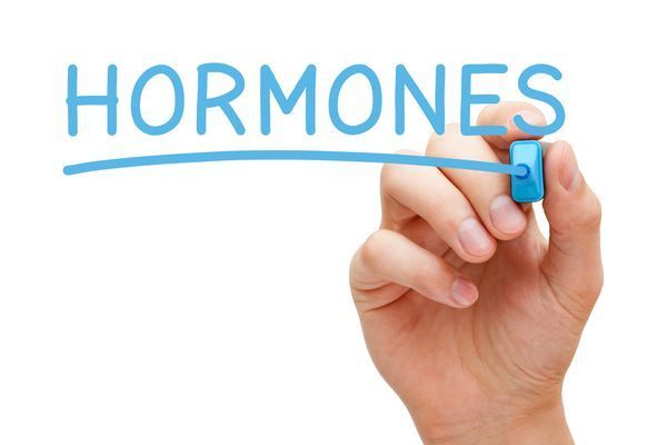 hormones.jpeg