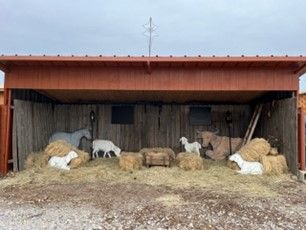 Camp Nativity