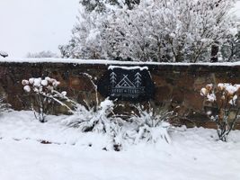 gate snow.jpg