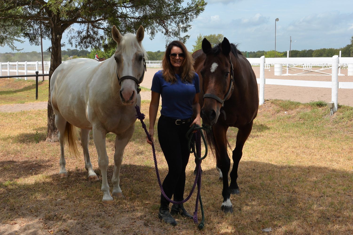 Gallery - Austin Horse Boarding Stables and Trail Rides - White Fences ...