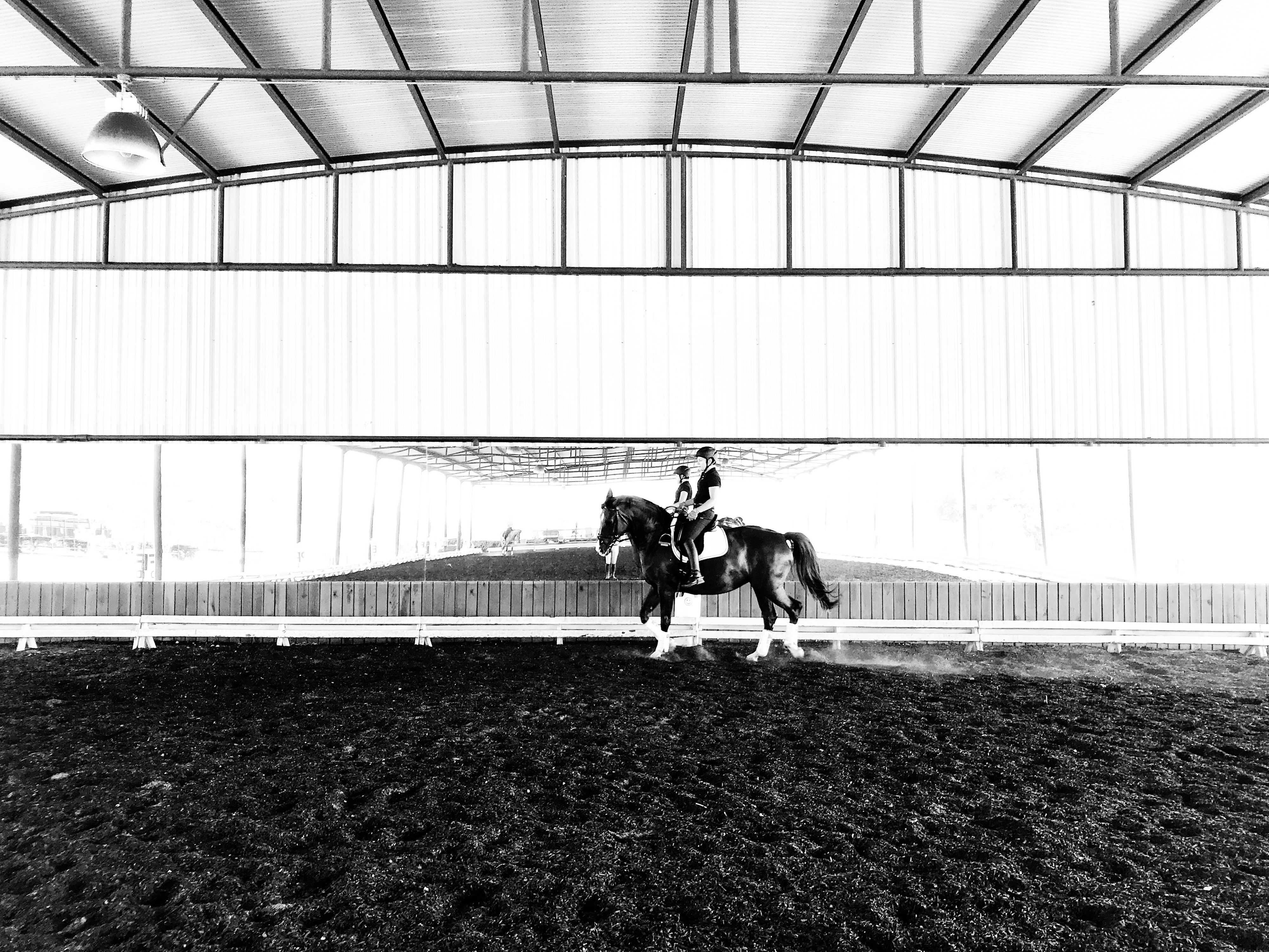 Horse Riding Lessons near Austin