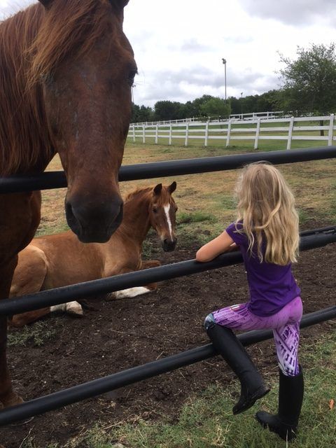 Horse Riding lessons for Kids