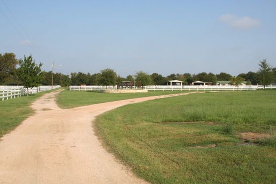 Horse Trail Rides in Manor, Texas