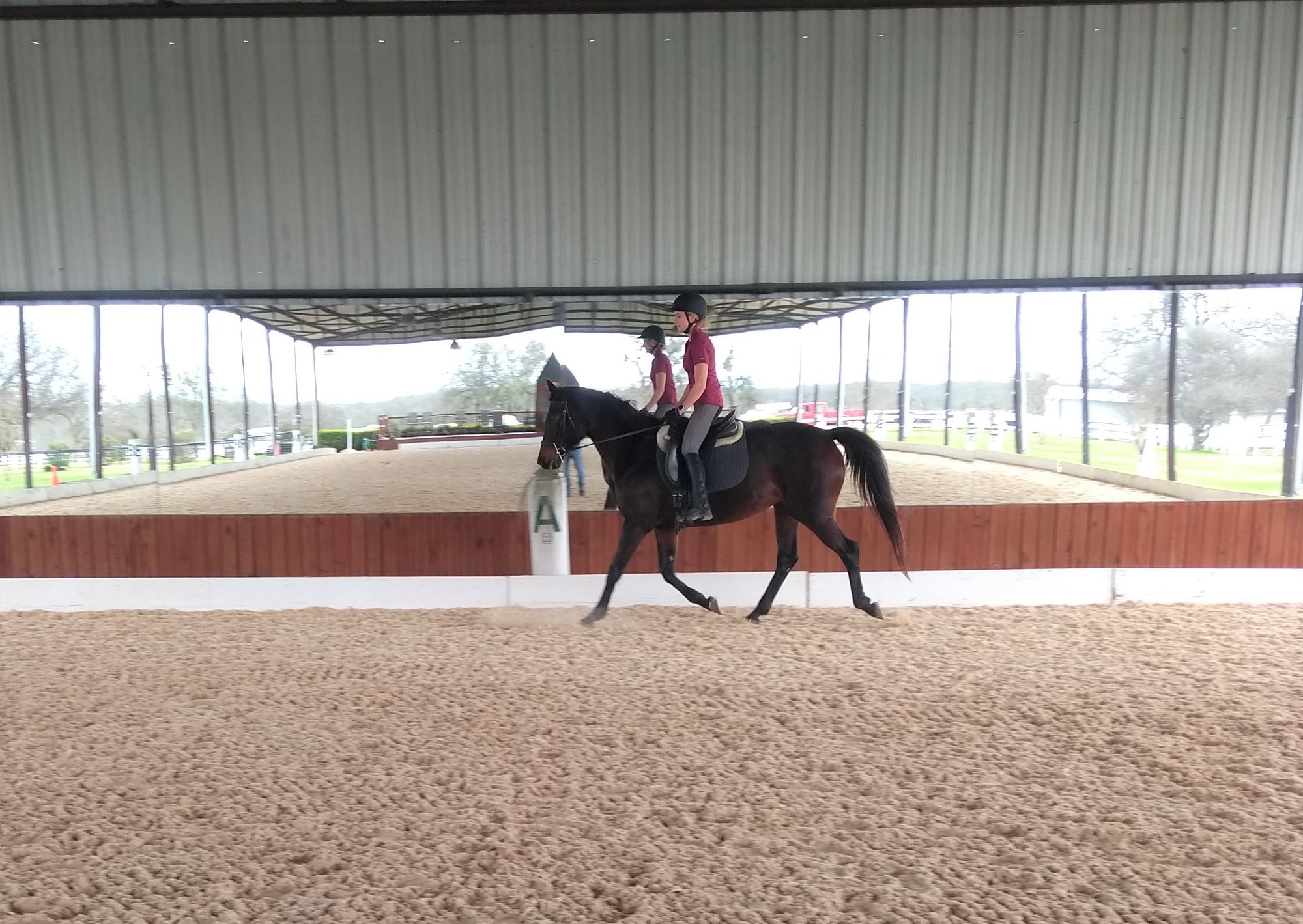 Horseback riding lesson
