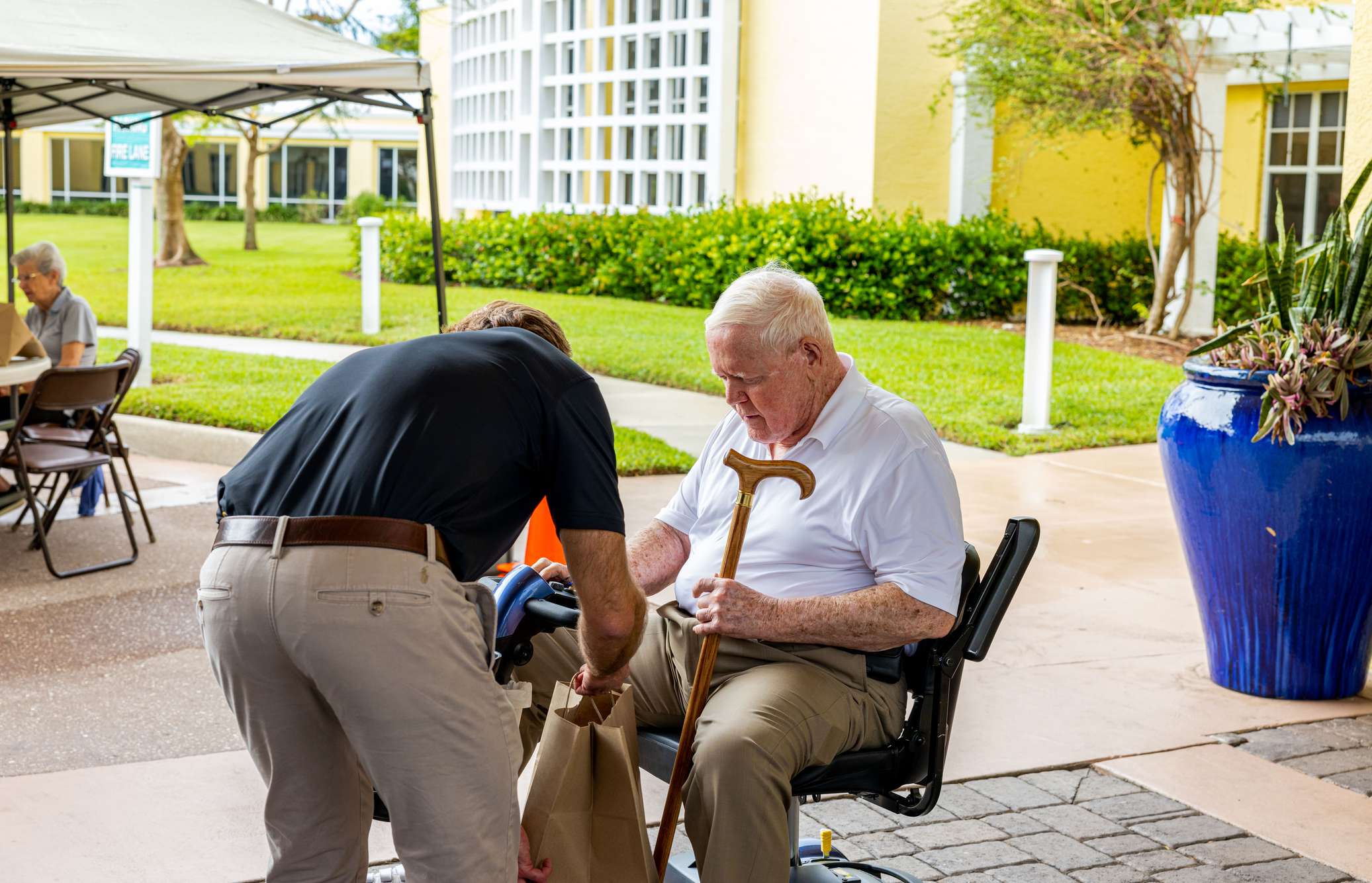 Cotton GDS Cypress Cove  Cotton GDS Cypress Cove