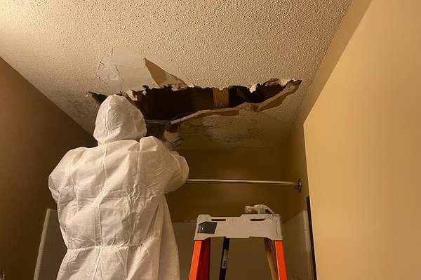 Commercial Mold Removal in Charlotte, NC