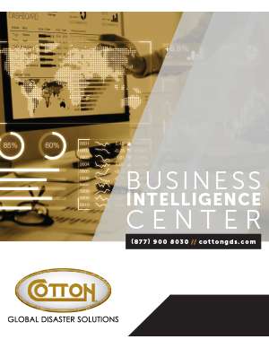Business Intelligence Center Brochure 