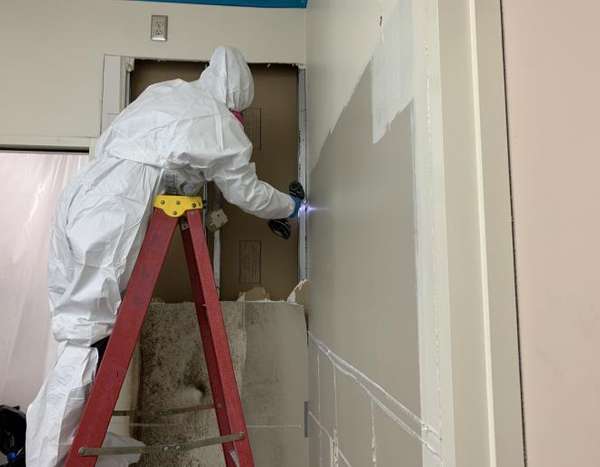 Cotton GDS commercial disaster solutions team removing mold damage in Odessa, TX