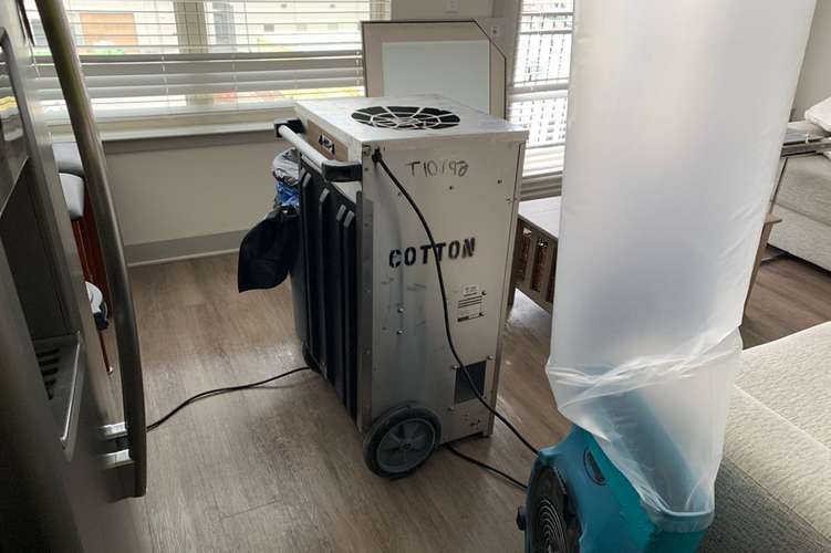 Cotton GDS repairing water damage  in Nashville, TN