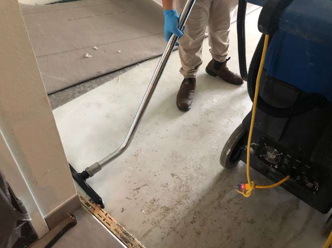 Cotton GDS employee vacuuming carpet in Houston area